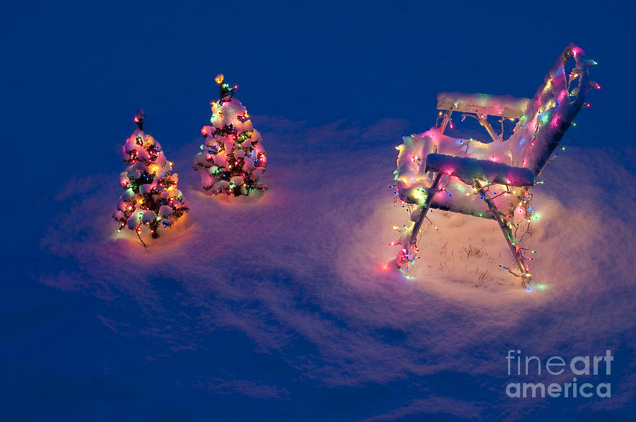 Christmas lights on trees and lawn chair #1 Photograph by Jim Corwin