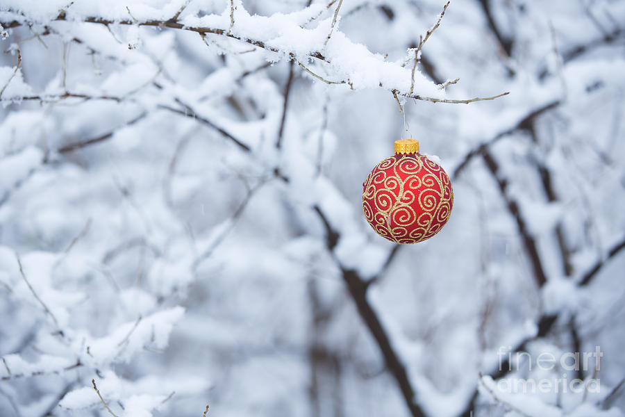 Christmas Ornament in the Snow #1 Photograph by Diane Diederich