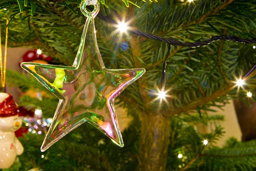 Christmas Star Hanging On The Christmas Tree Photograph by Fizzy Image ...