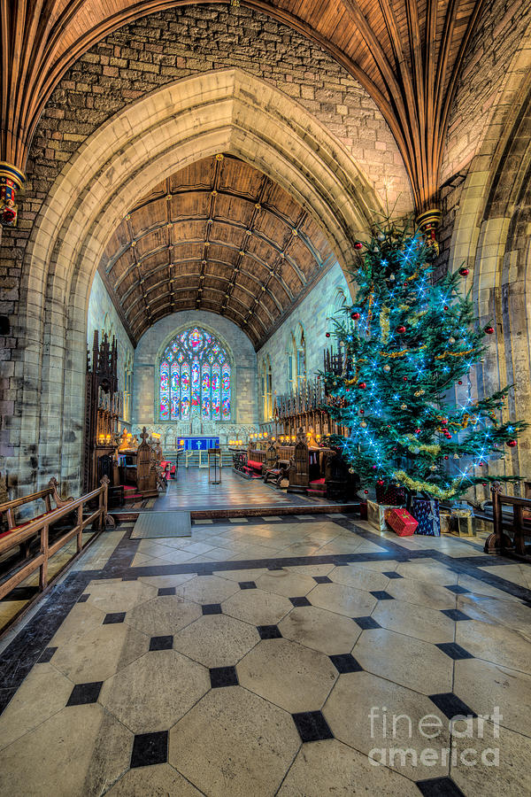Christmas Photograph - Christmas Tree #1 by Adrian Evans