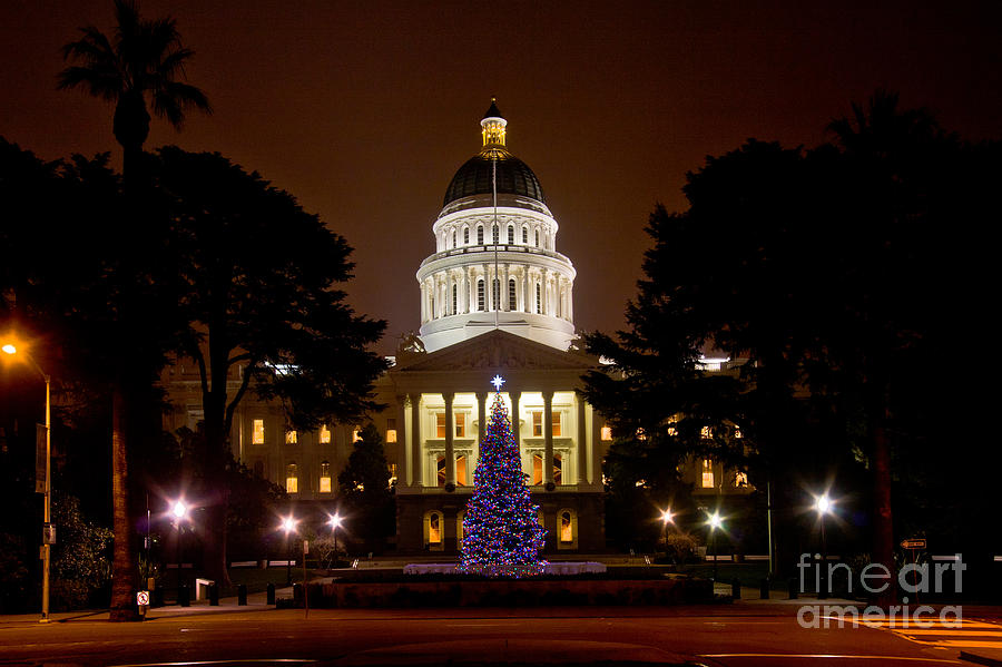 Christmas Tree At California State House #1 Photograph by Spencer Grant