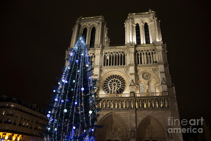 Notre Dame Christmas 2025