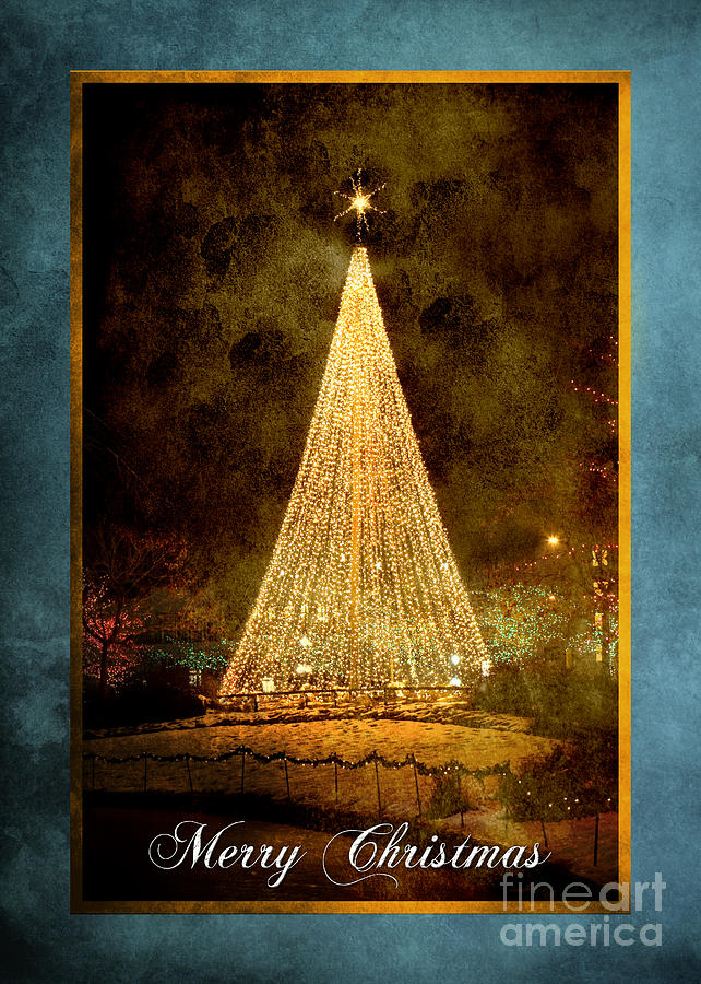 Christmas Photograph - Christmas Tree in the City #1 by Cindy Singleton