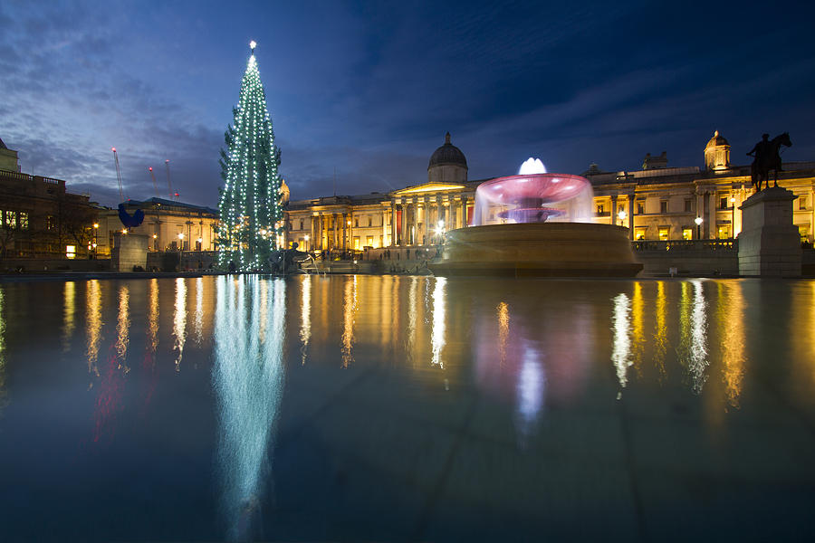Christmas  Tree Trafalgar Square #1 Photograph by David French