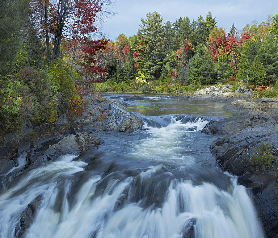 Chutes Provincial Park Ontario Canada #1 Photograph by Tim Fitzharris