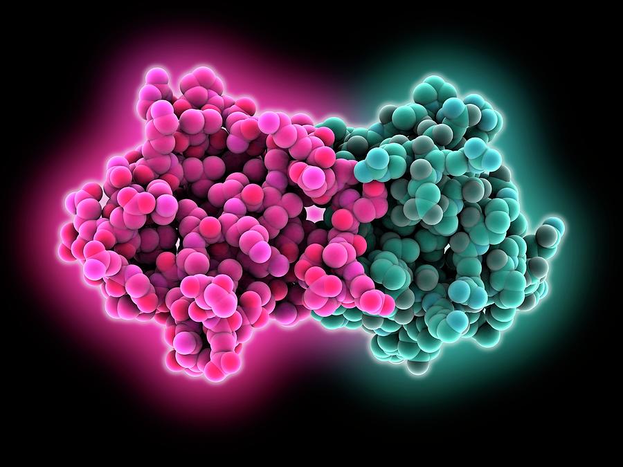 Circadian Clock Protein Kaib Photograph by Laguna Design/science Photo ...