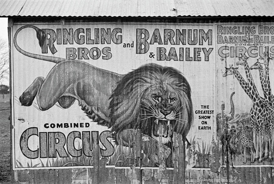 Circus Advertisement, 1936 #3 Photograph by Granger