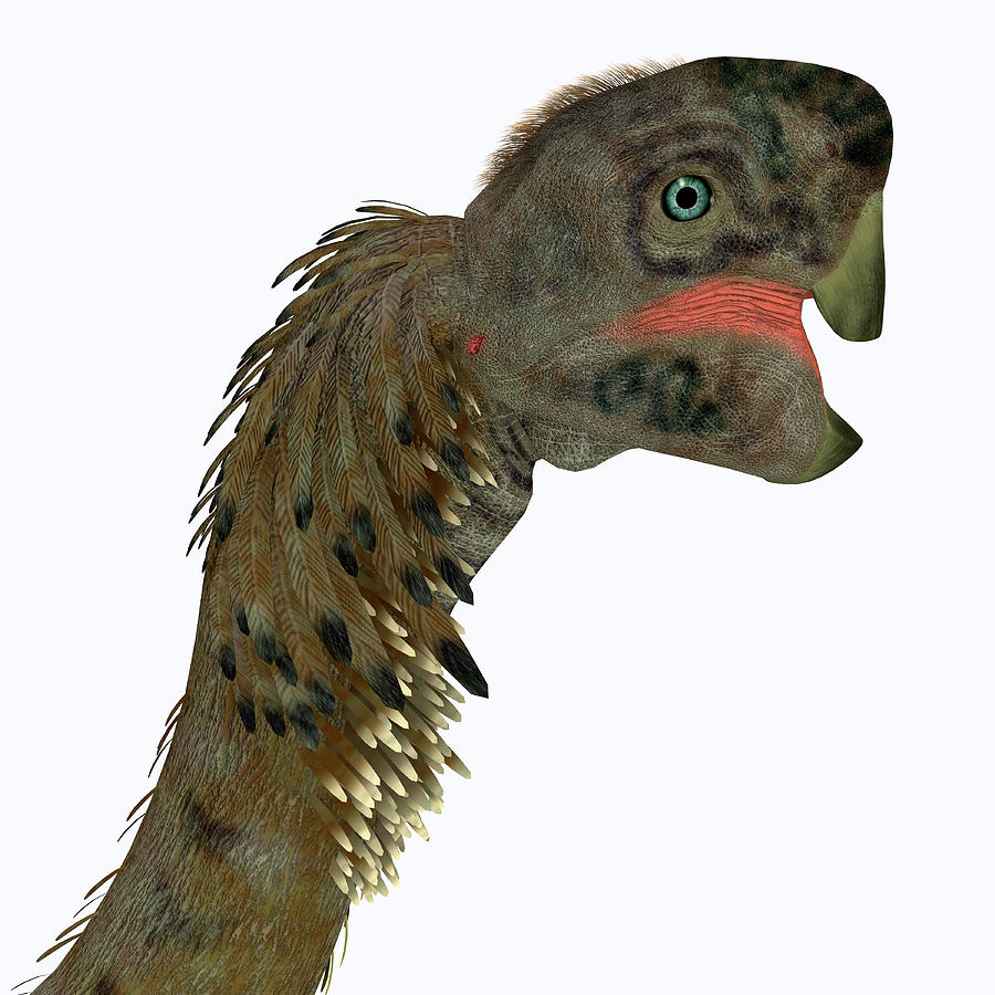 citipati dinosaur