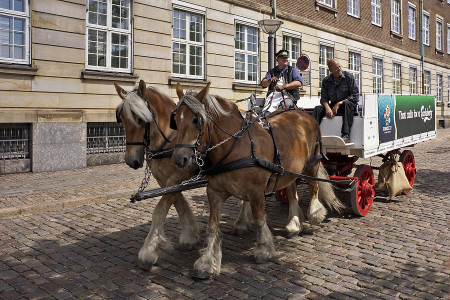 Classic Copenhagen #1 Photograph by Inge Riis McDonald