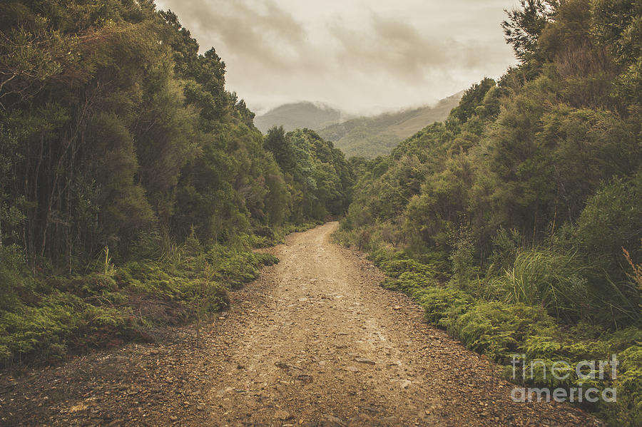 Classic old dirt road landscape in Australia #1 Photograph by Jorgo Photography