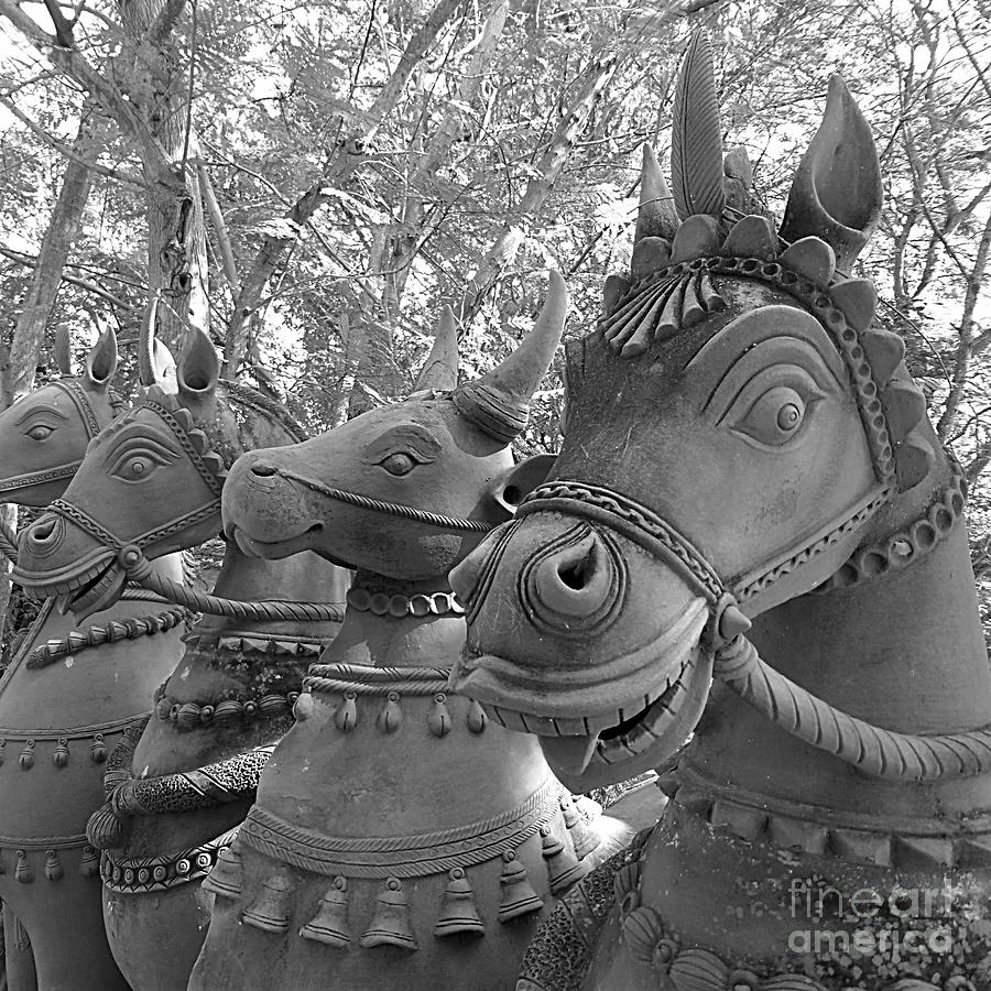 Clay Horses Photograph