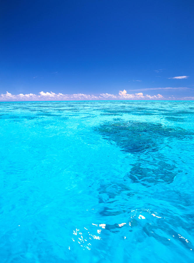Clear Tropical Water #1 Photograph by F. Stuart Westmorland