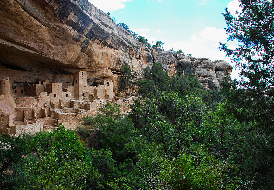 Tree Photograph - Cliff Palace - Mesa Verde #1 by Dany Lison