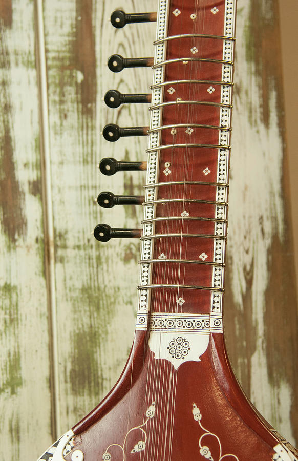 Music Photograph - Close-up Of A Wood Indian Sitar String #1 by Bill Bachmann