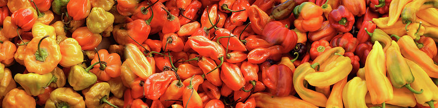 Close-up Of Assorted Pepper For Sale #1 Photograph by Panoramic Images