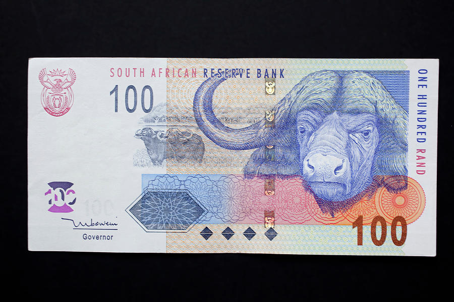 Buffalo Photograph - Close-up Of South African Rand Paper #1 by Jaynes Gallery
