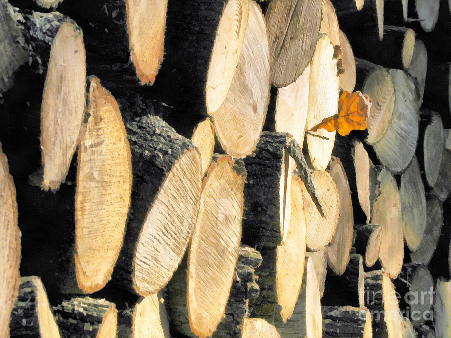 Close up of stack of birch logs Painting by Odon Czintos Fine Art America