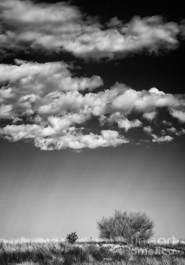 Clouds and Brush #1 Photograph by David Waldrop