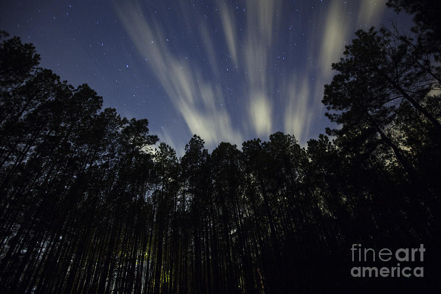 Clouds moving across the night sky #1 Photograph by Jonathan Welch