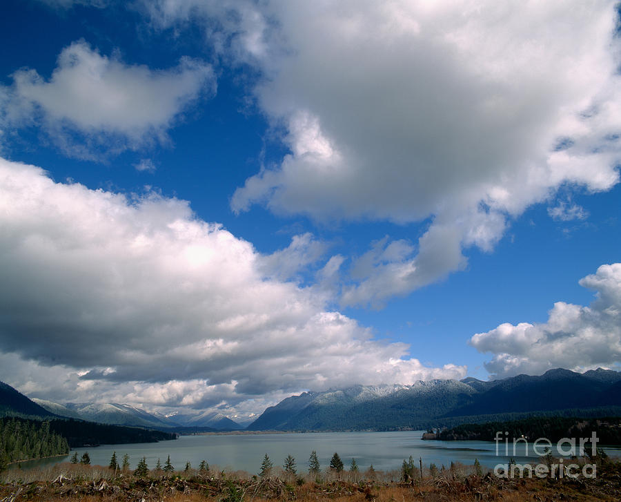 Olympic National Park Photograph - Clouds Over Lake Quinault #2 by Tracy Knauer