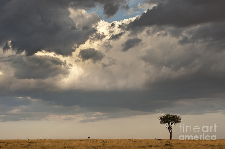 Clouds Over Maasai Mara, Kenya #1 Photograph by John Shaw