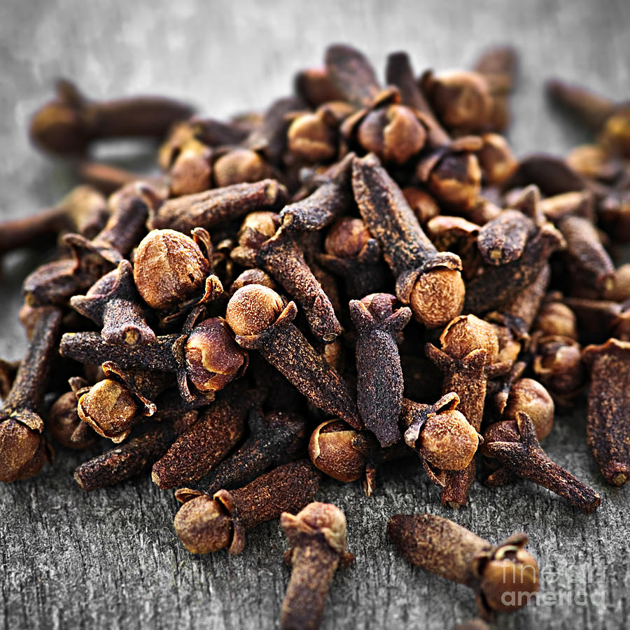 Cloves Photograph by Elena Elisseeva