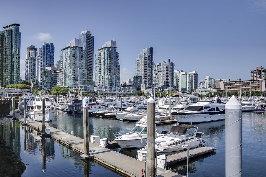 Coal Harbour Photograph by Ross G Strachan | Pixels