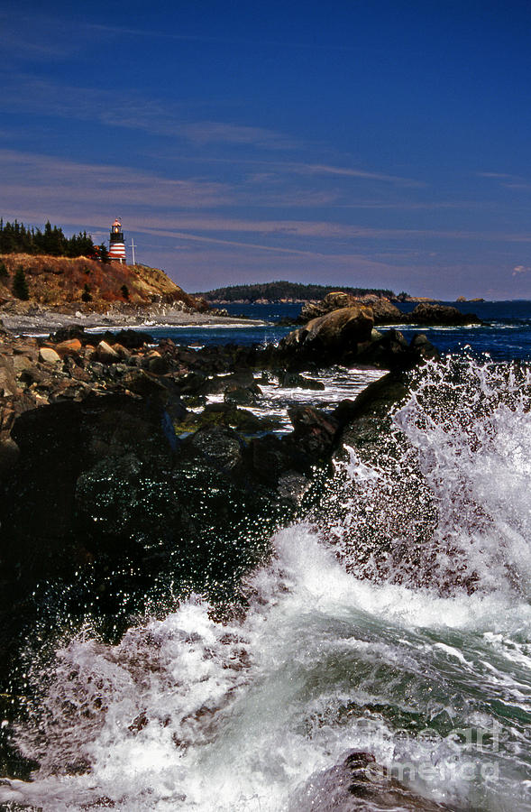 Coastal Maine Photograph