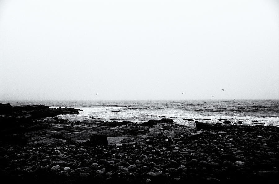Coastal Scene 9 #1 Photograph by Jeremy Herman