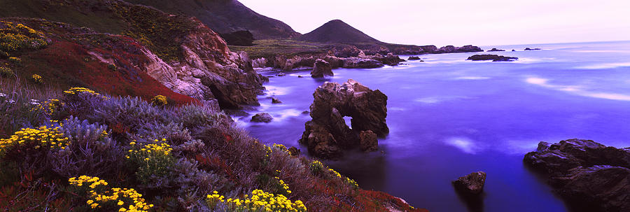 Nature Photograph - Coastline, Garrapata State Park #1 by Panoramic Images