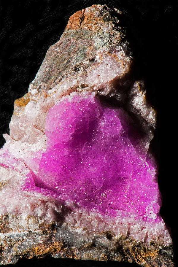 Cobaltoan Calcite #1 Photograph by Millard H. Sharp