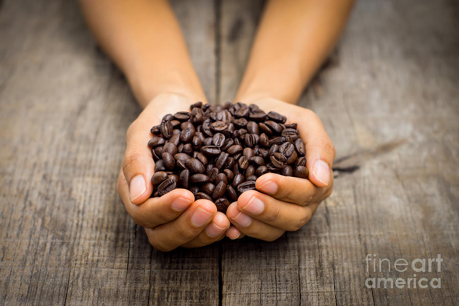 Coffee Bean Photograph - Coffee beans by Aged Pixel