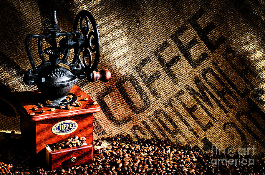 Coffee Beans and Grinder #1 Photograph by Danny Hooks