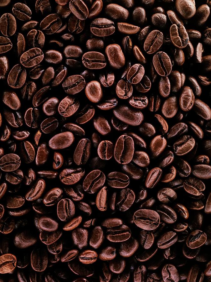 Coffee Beans #1 Photograph by Patrick Llewelyn-davies/science Photo Library