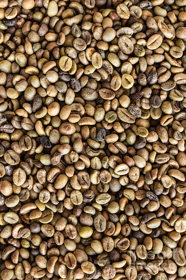 Coffee Bean Photograph - Coffee beans  #1 by Tosporn Preede