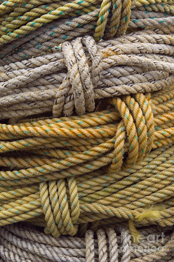 Coiled Ropes #1 Photograph by John Shaw