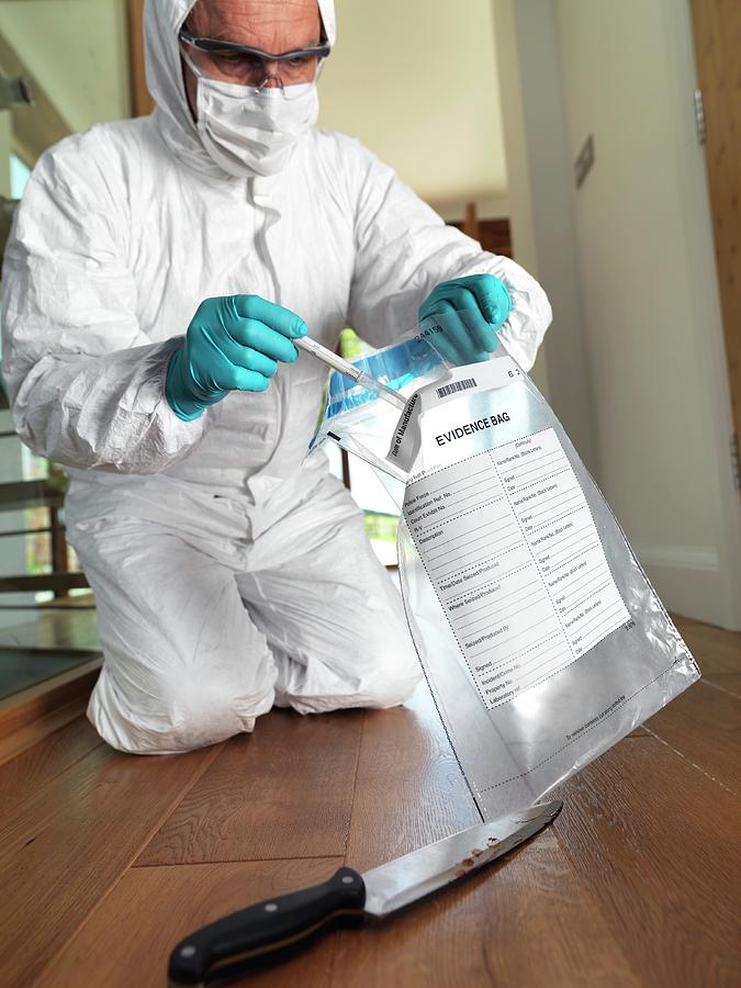 Collecting Forensic Evidence #1 Photograph by Tek Image/science Photo Library