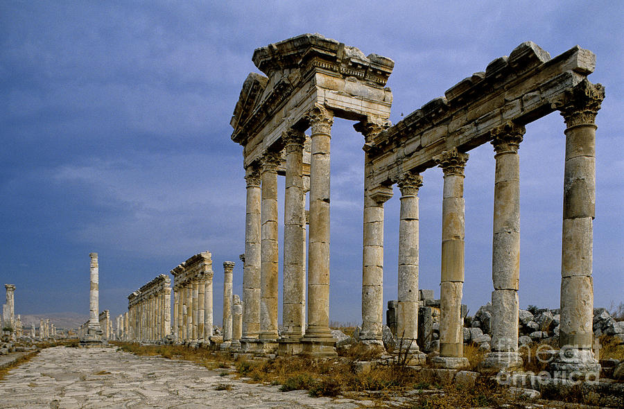 Colonnade At Apamea, Syria #1 Photograph by Adam Sylvester