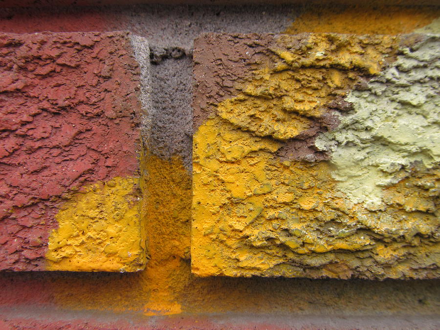 Color And Texture #1 Photograph by Alfred Ng