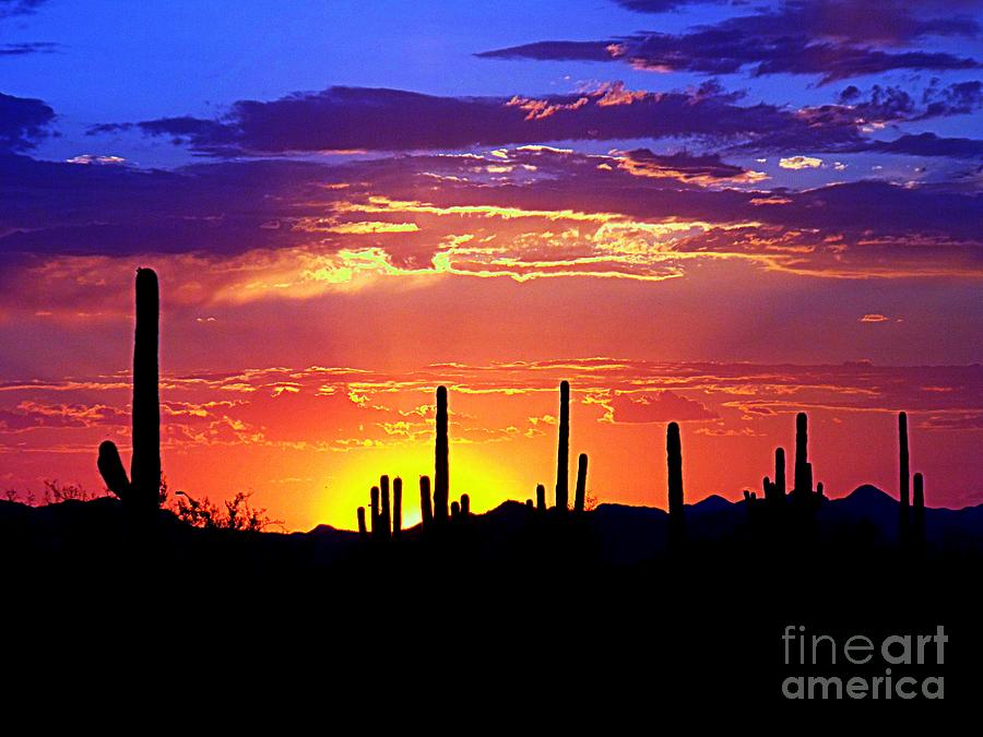 Color the Desert Sky Photograph by Desert Serenity