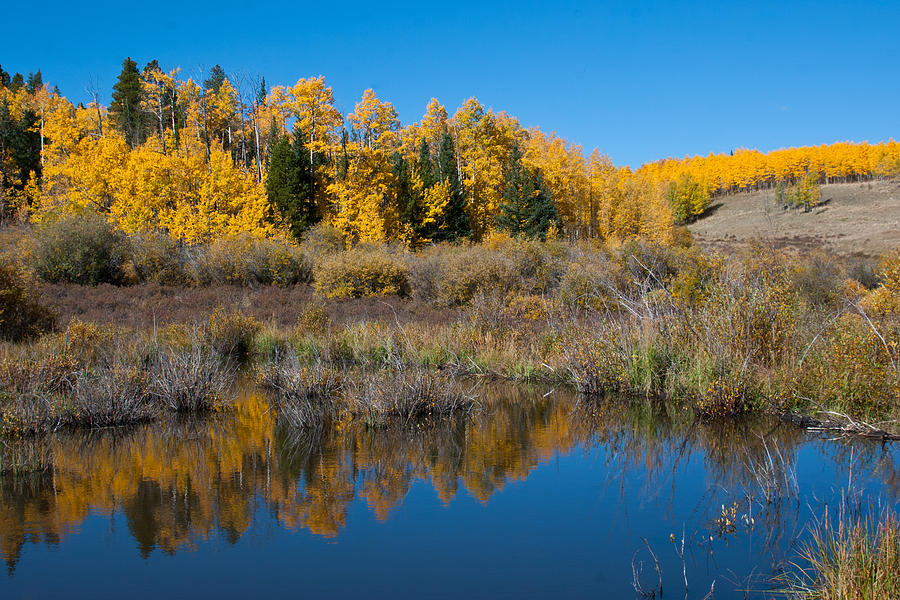 Colorado Autumn Reflection  #1 Photograph by Cascade Colors