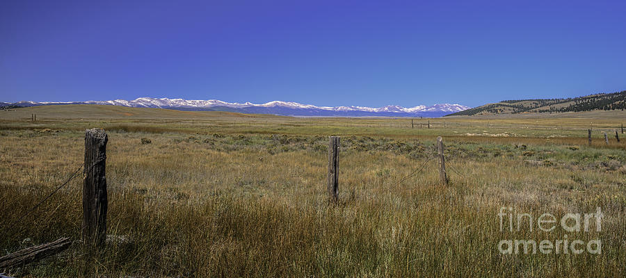 Colorado Fence Line #1 Photograph by David Waldrop