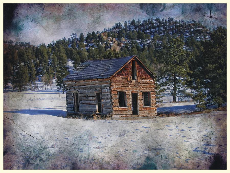 Colorado Log Cabin #1 Photograph by Joe Duket