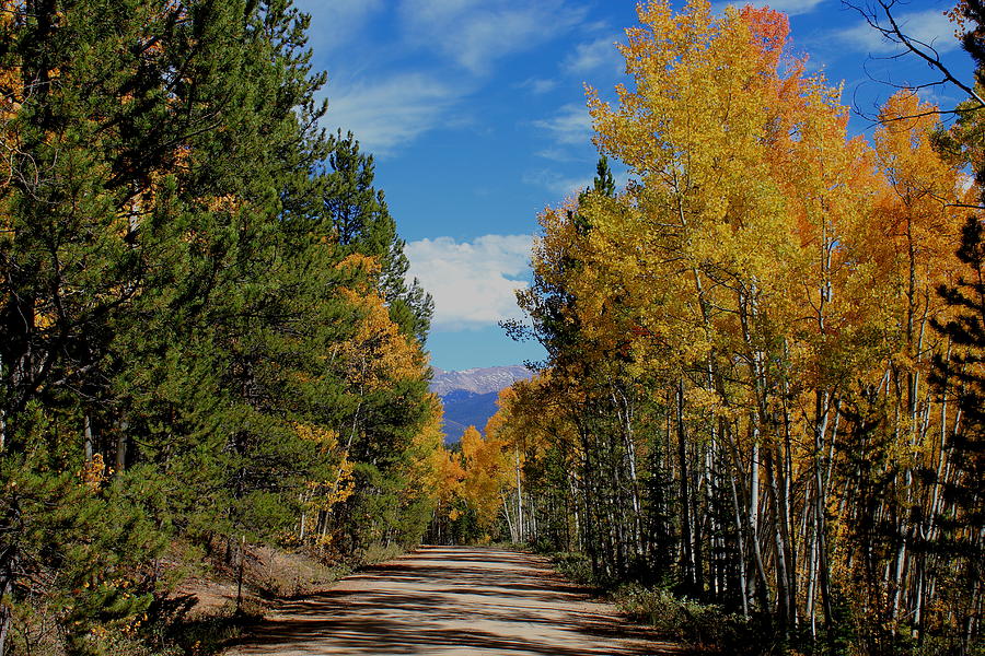 Colorado Mountain Road #1 Photograph by Trent Mallett