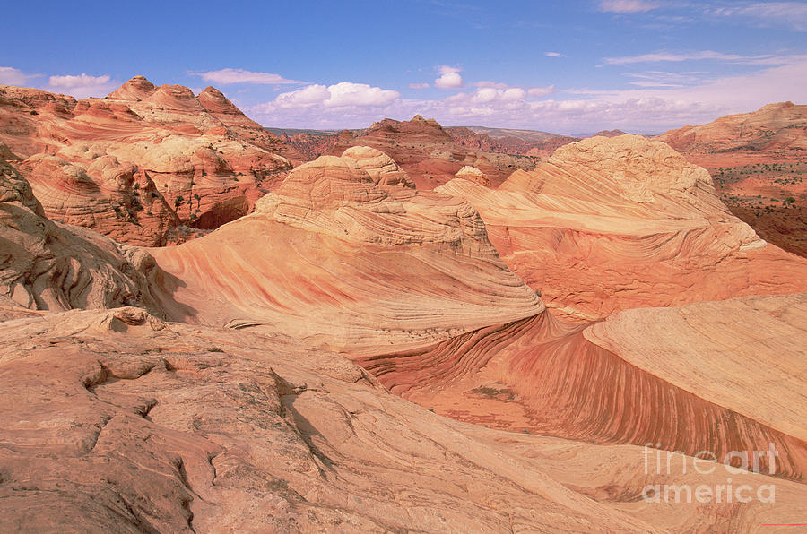 Colorado Plateau Sandstone  Photograph by Yva Momatiuk John Eastcott