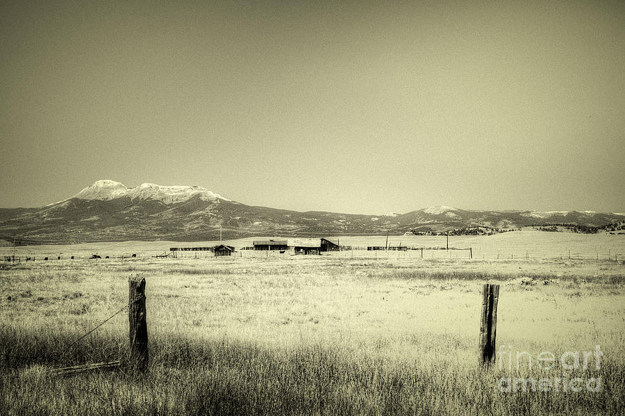 Colorado Ranch #1 Photograph by David Waldrop