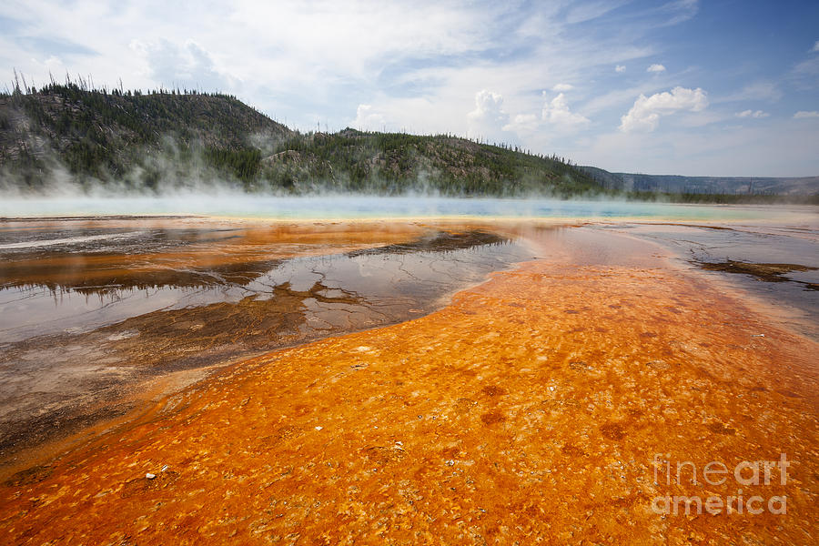 Colorful bacteria mat surrounding Grand Prismatic Spring #1 Photograph by Bryan Mullennix