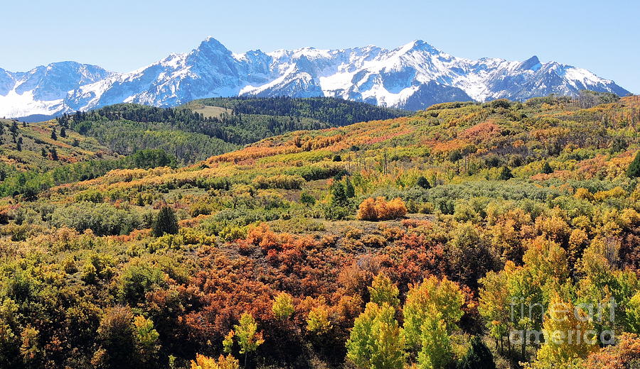 Colorful Colorado Photograph by Deniece Platt