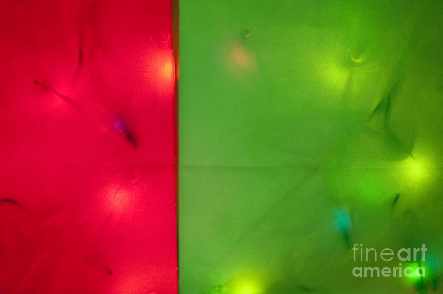 Colorful Gift Bags filled with Christmas lights #2 Photograph by Jim Corwin