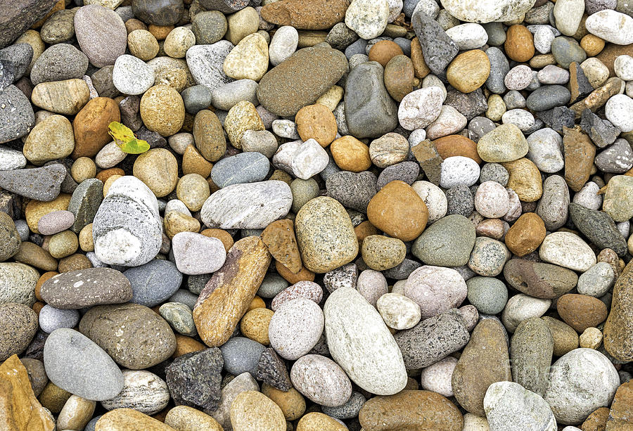 Colorful pebbles #1 Photograph by Les Palenik